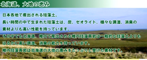 超珪藻土、稚内珪藻土！最も優れた空気浄化、調湿作用 【稚内珪藻土 70μ以下 粉末】 5kg