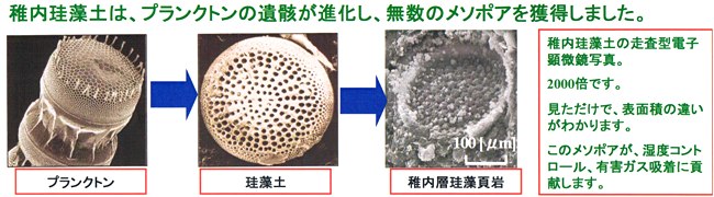 稚内珪藻土の優れた空気浄化、調湿作用！【焼成原石［中粒］（2.5～8mm）】 1kg ポスト投函