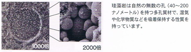 貴重な大きな稚内珪藻岩【不焼成原石特大（50～200mm）程度】1kg