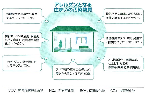 空気奇麗！快適安眠！稚内珪藻土利用「珪藻枕大人用」枕カバー付き