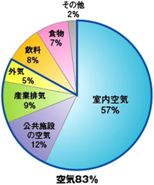 空気奇麗！快適安眠！稚内珪藻土利用「珪藻枕大人用」枕カバー付き