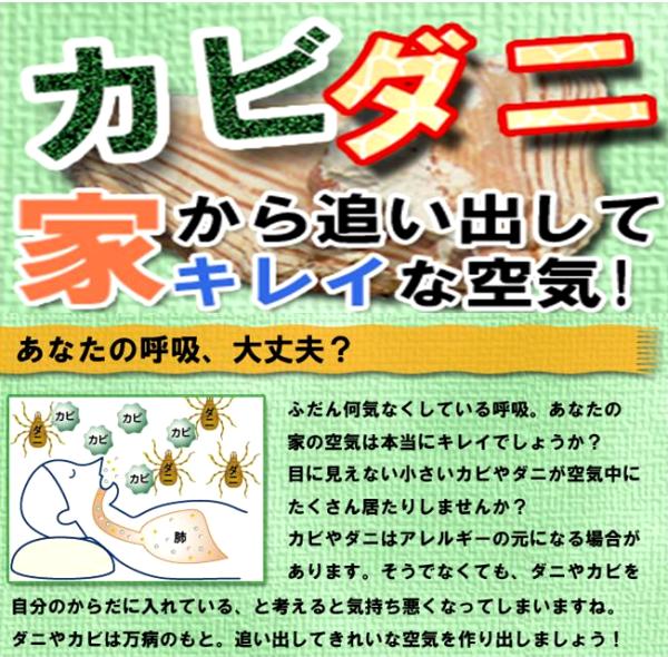 空気奇麗！快適安眠！稚内珪藻土利用「珪藻枕大人用」枕カバー付き